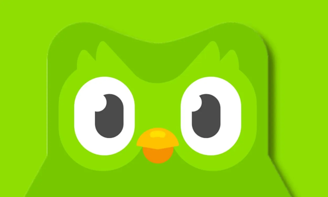 Duolingo Promo Codes (March 2024) Droid Local